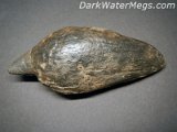Dark Water Megs Megalodon Tooth02 (2)